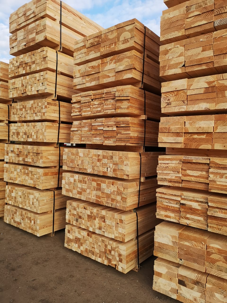 Pino — madera en bruto aserrada